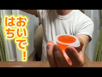 【ゼリーの乱】他のオカメインコが拒絶した謎のゼリーを愛す「はちを」