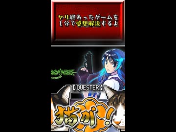 【ヤリ猫8】QUESTER　（ゲーム感想解説）