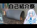 わしの自己紹介イクゾ