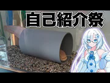 わしの自己紹介イクゾ