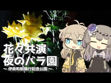 【VOICEVOX旅行】花々共演 夜のバラ園 ～伊奈町制施行記念公園～【ラップっぽいなにか】