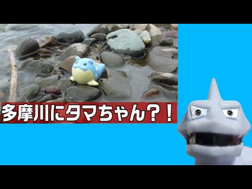 多摩川のタマちゃんに会いに行ったのかしら、イワク