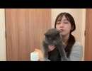 ポンコツびぃちゃんアーカイブ 2026/4/19