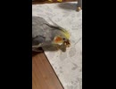 1週間お疲れ様