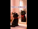 可愛いって自覚ある猫。