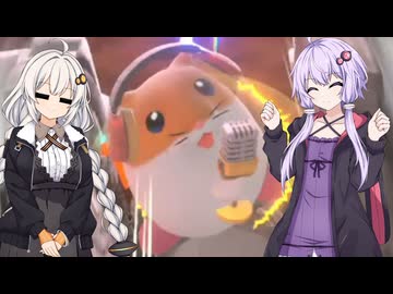 【カービィのエアライダー】ゆづきずエアライダー #38