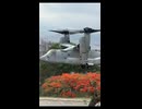 ベネズエラのカラカスにあるアメリカ合衆国大使館で、アメリカ軍の対応訓練が行われています