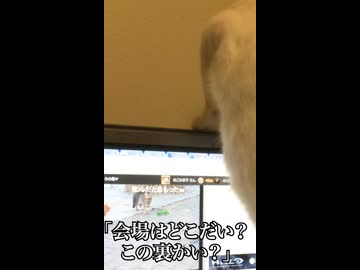 野良猫の喧嘩を見守るウチューネコ