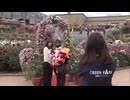 色鮮やかなバラを楽しめる「春のバラフェア」北九州市若松区のグリーンパークで開催