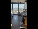 シニア猫専門 保護猫カフェShhh…