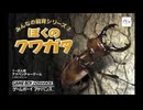 [GBA]みんなの飼育シリーズ② ぼくのクワガタ FULL SOUND TRACK