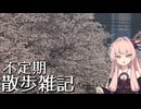 【第3回ナイスビュー投稿祭】不定期散歩雑記_105 - 駅近の桜2026
