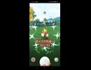 今こそメガシンカ！ vsメガタイレーツ▼【ポケモンGO】