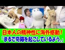 【海外の反応】 日本の ぬいぐるみの クリニックに 世界から 感動の 声！ 「日本の人たちが見せてくれる優しさや思いやりは、本当に尊い。愛されてきた存在に寄り添う姿勢が大好き。」