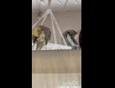 仲良し？