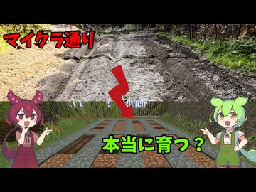 【Minecraft】マイクラ式で畑を作ったらどうなる？【家庭菜園】