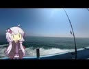 ちょいとお魚釣り12　久しぶりにボートで釣りに行って来ました