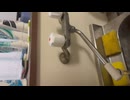 私のモーニングルーティン部屋が汚いのは許してください