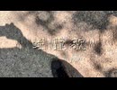 睡蓮歌/イムfeat. 音街ウナSV【オリジナル】