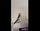 我が家の合言葉？