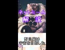 ゆかつむネットミーム解説【野良猫は宇宙を目指した】