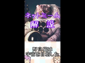 ゆかつむネットミーム解説【野良猫は宇宙を目指した】