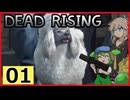 【DRDR】ヘリで来た＃1