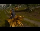 Master of Chocobo