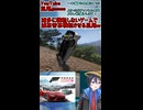 ショート動画【 配信切り抜き】滅多に横転しないゲームで滅茶苦茶横転させる凪尾ｗ：Forza Horizon 6