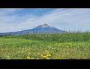 夜の踊り子 / サカナクション - covered by Mava.