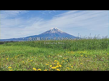 夜の踊り子 / サカナクション - covered by Mava.