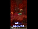 【マイクラ実況】全裸特攻はよくない…【全バイオームに村を作る】 #マイクラ実況 #街づくり#マイクラサバイバル#マイクラ統合版