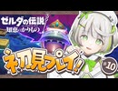 ┆ ゼルダの伝説 知恵のかりもの ┆えっ!? 戦っちゃって良いんですか!?┆10〖 初見実況 〗