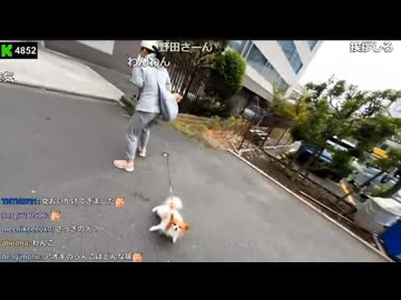 ホモと見る女に声をかけて逃げられてしまう配信者