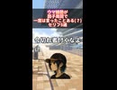 ウマ娘勢が因子周回で一度は言ったことある(？)セリフ5選