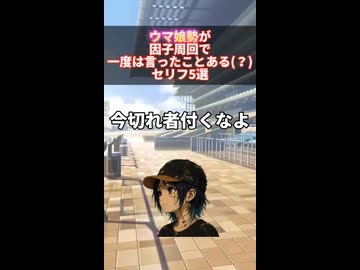 ウマ娘勢が因子周回で一度は言ったことある(？)セリフ5選