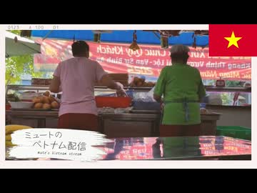 ミュートのベトナム配信 mute's Vietnam stream #8