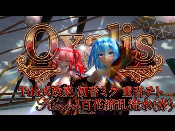 MMD 260524 Oxalis Tda式改変 初音ミク 重音テト Kimono 百花繚乱流水(赤)