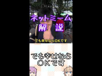 ゆかつむネットミーム解説【でも幸せならＯＫです】