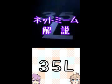 ゆかつむネットミーム解説【３５Ｌ】