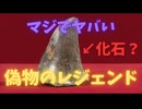 【化石収集】偽物のレジェンド！偽歯化石の見分け方【コレクション】
