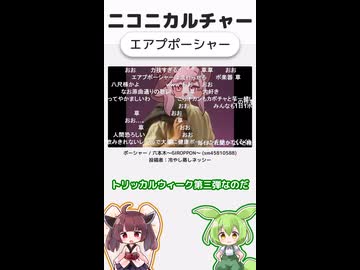 ニコニカルチャー#014「エアプポーシャー」