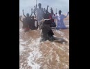 ホモと見るアフリカのキリスト教徒