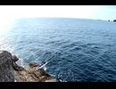 VID_20260322_0826