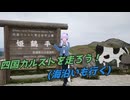 【VOICEROID車載】四国ツーリングを楽しもう！四国一周の旅 ～二日目～(後編)