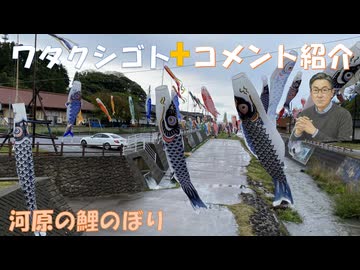 イラン戦争は人類滅亡を防ぐ為の自浄作用（Rコシミズ）この考えならＤＳも正しい？枠チン工場とかこれらは平時は毒ワク製造はしていない←コメ【アラ還・読書中毒】私事：河原の鯉のぼり（似た光景を勘違いした）