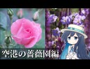 お写んぽ動画～空港の薔薇園編～【双葉湊音】