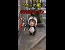 ワホーの歌withググガガペンギン