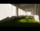 【VRChatワールド紹介】Daydreaming ⁄ 夢想