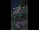 夢見る前の記憶_shorts